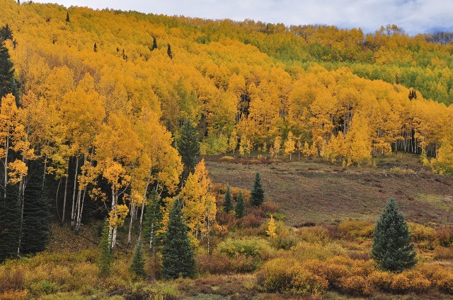 Crested Butte